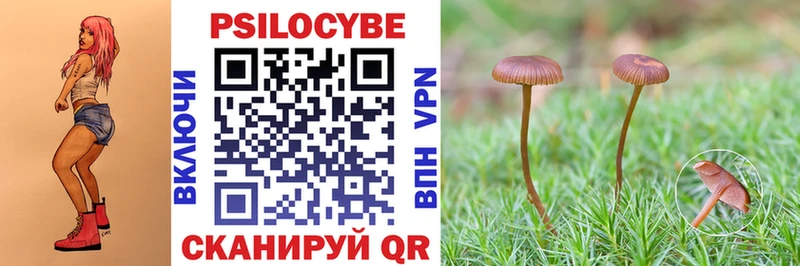 Псилоцибиновые грибы мицелий  MEGA вход  Соликамск  хочу наркоту 